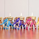 ELEPHANT T LIGHT